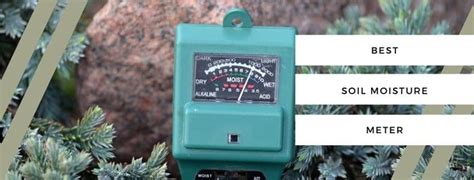 soil moisture meter for succulents